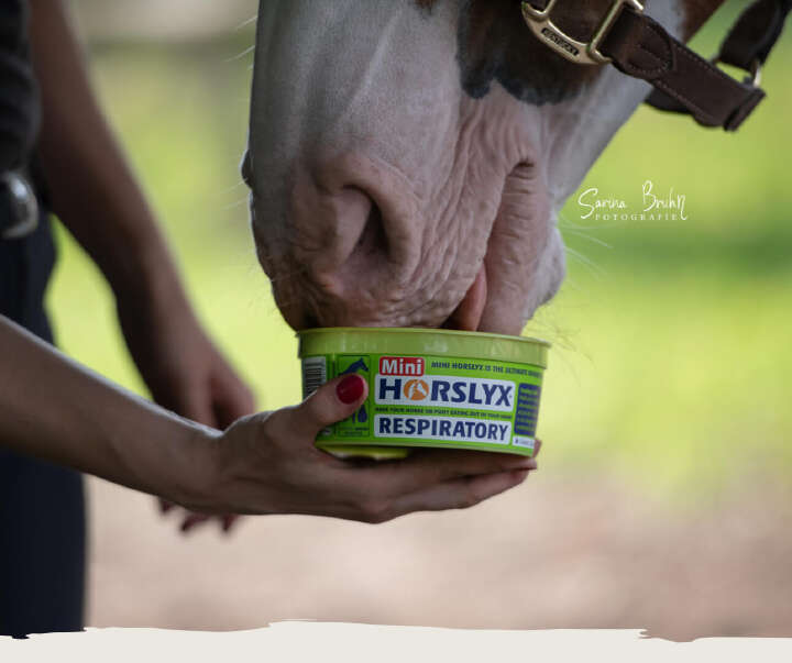 teaser pferde futter horslyx